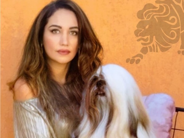 Conheça a Lions&nbsp;Amodeo’s